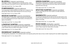 Express Yourself Sunfish Ident-I-Card back with descriptions for quick reference