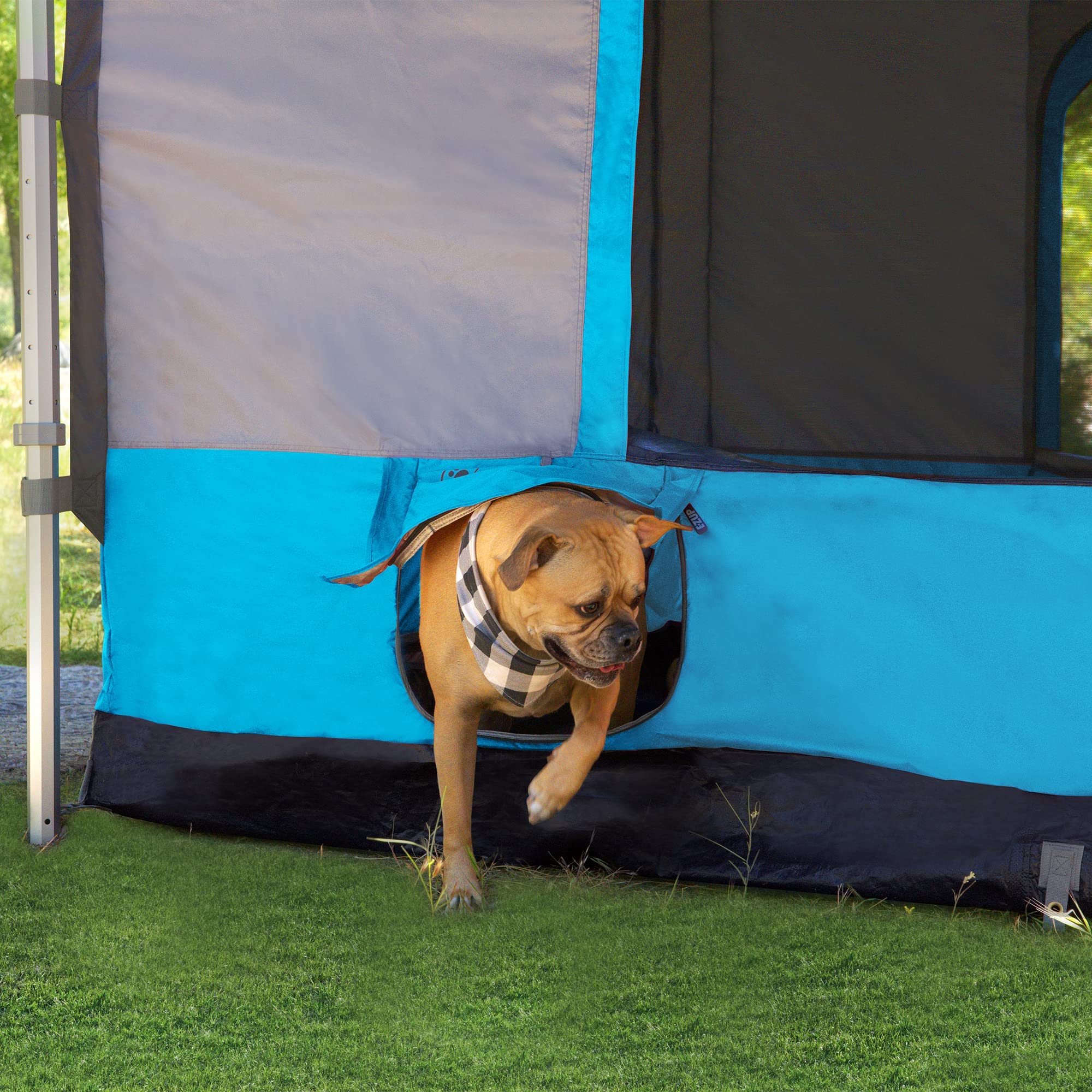 E-Z UP Camping Cube 6.4 pet entry helps bring along a furry friend.