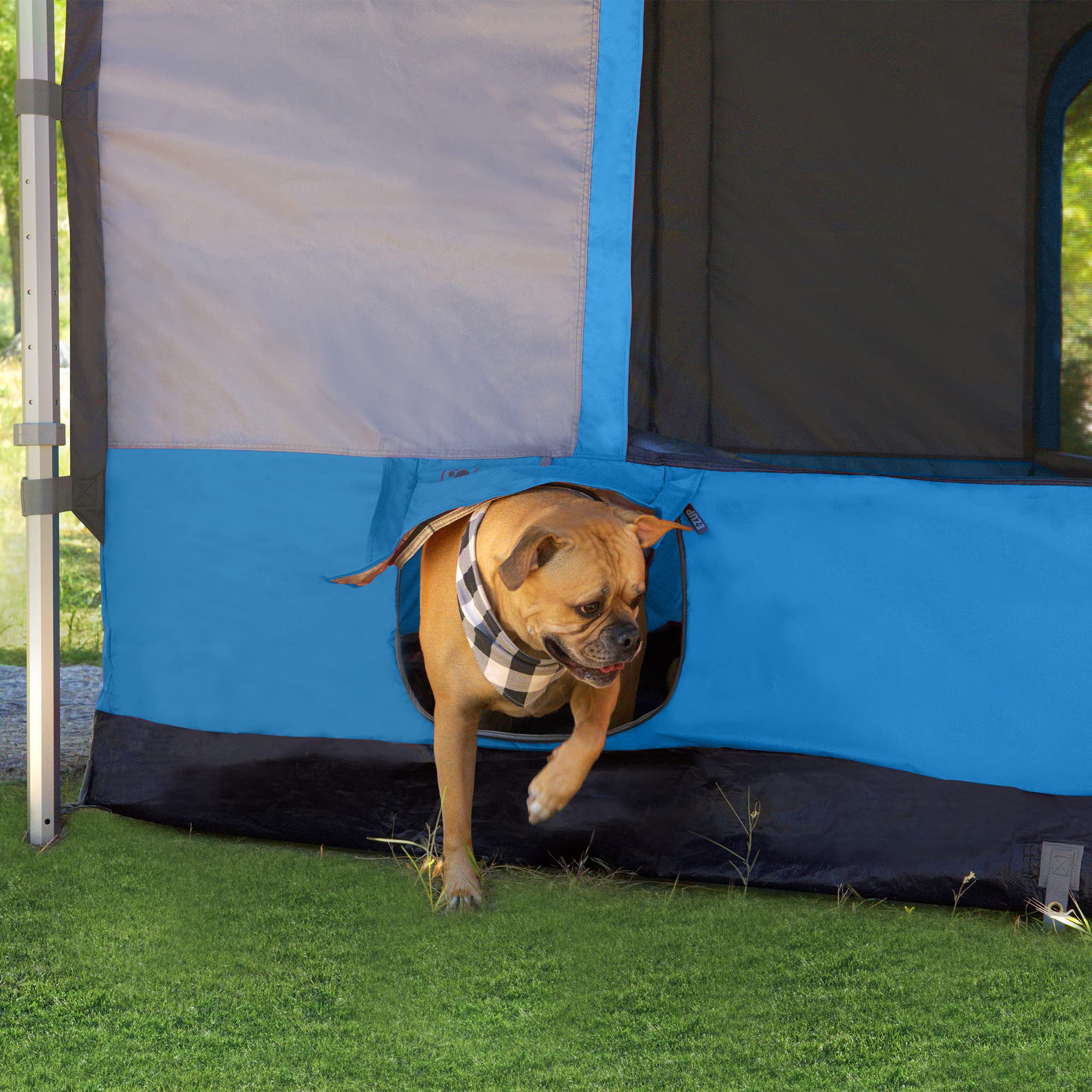 E-Z UP Camping Cube 6.4 built-in pet entry keeps furry friends nearby