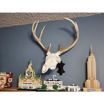 FANYUN skull hanger for coyotes, easy-to-adjust wall display.