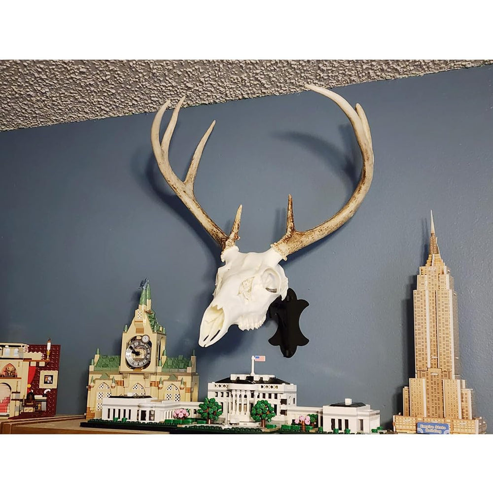 FANYUN skull hanger for coyotes, easy-to-adjust wall display.