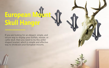 FANYUN Mount Skull Hanger in use displaying a mounted skull.