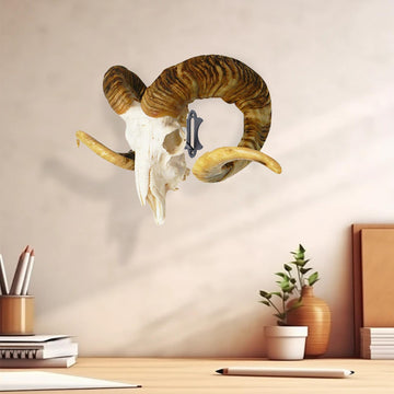 FANYUN Mount Skull Hanger includes installation screws for quick setup.