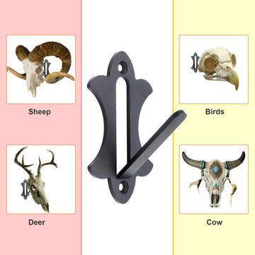 FANYUN Mount Skull Hanger wall plate ready to mount on wall.