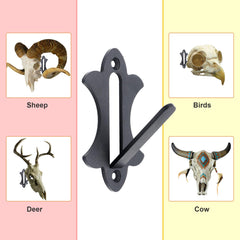 FANYUN Mount Skull Hanger wall plate ready to mount on wall.