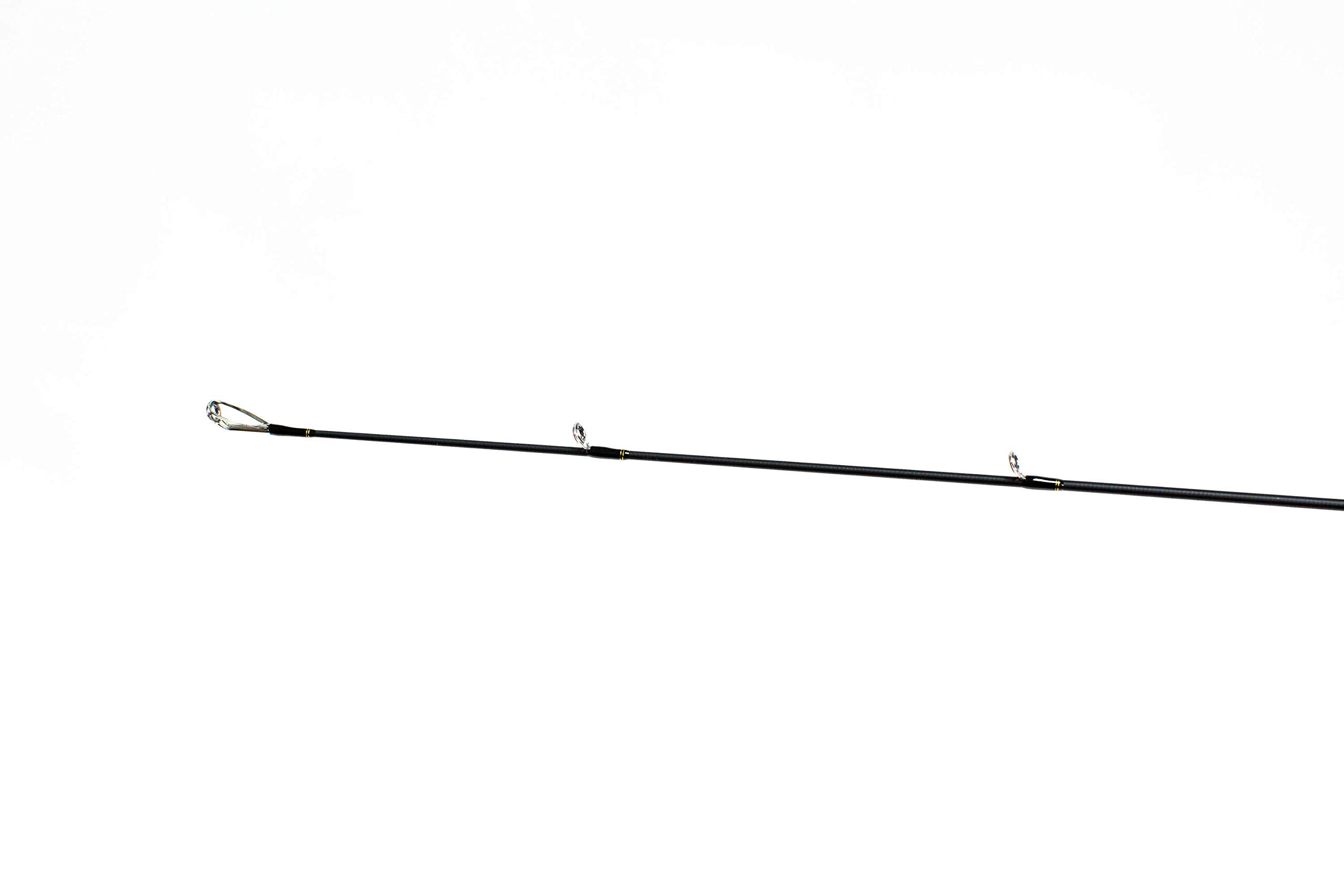 Favorite Jack Hammer spinning rod Fuji-guides close-up showcases titanium single-stick construction for enhanced sensitivity