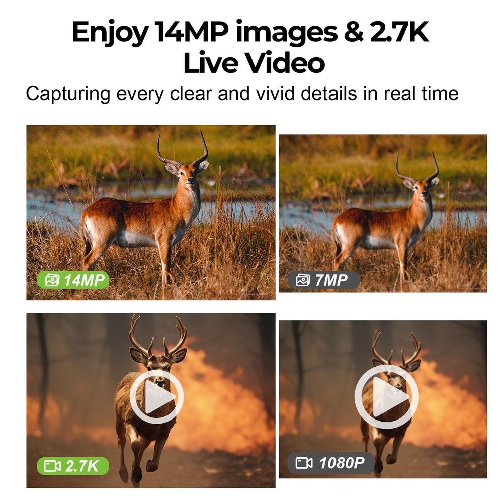 FBYEG Trail Camera 2 Pack 120° wide view captures broad trails