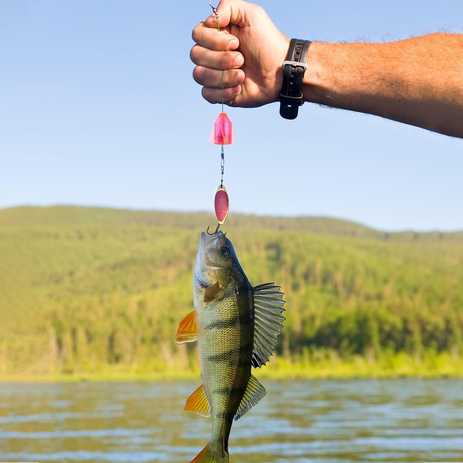 Portable kit layout with seven catfish rattles