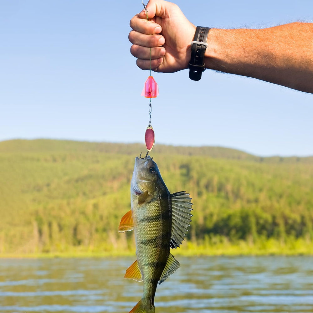 Portable kit layout with seven catfish rattles