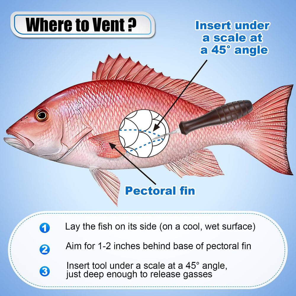 Vent fishing in action: relieving barotrauma in a deep-sea fish