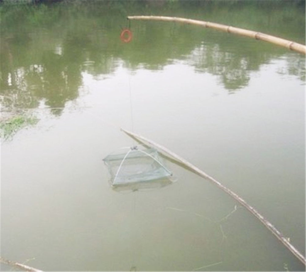 Fellibay Hofumix entrance design protecting fish during capture.