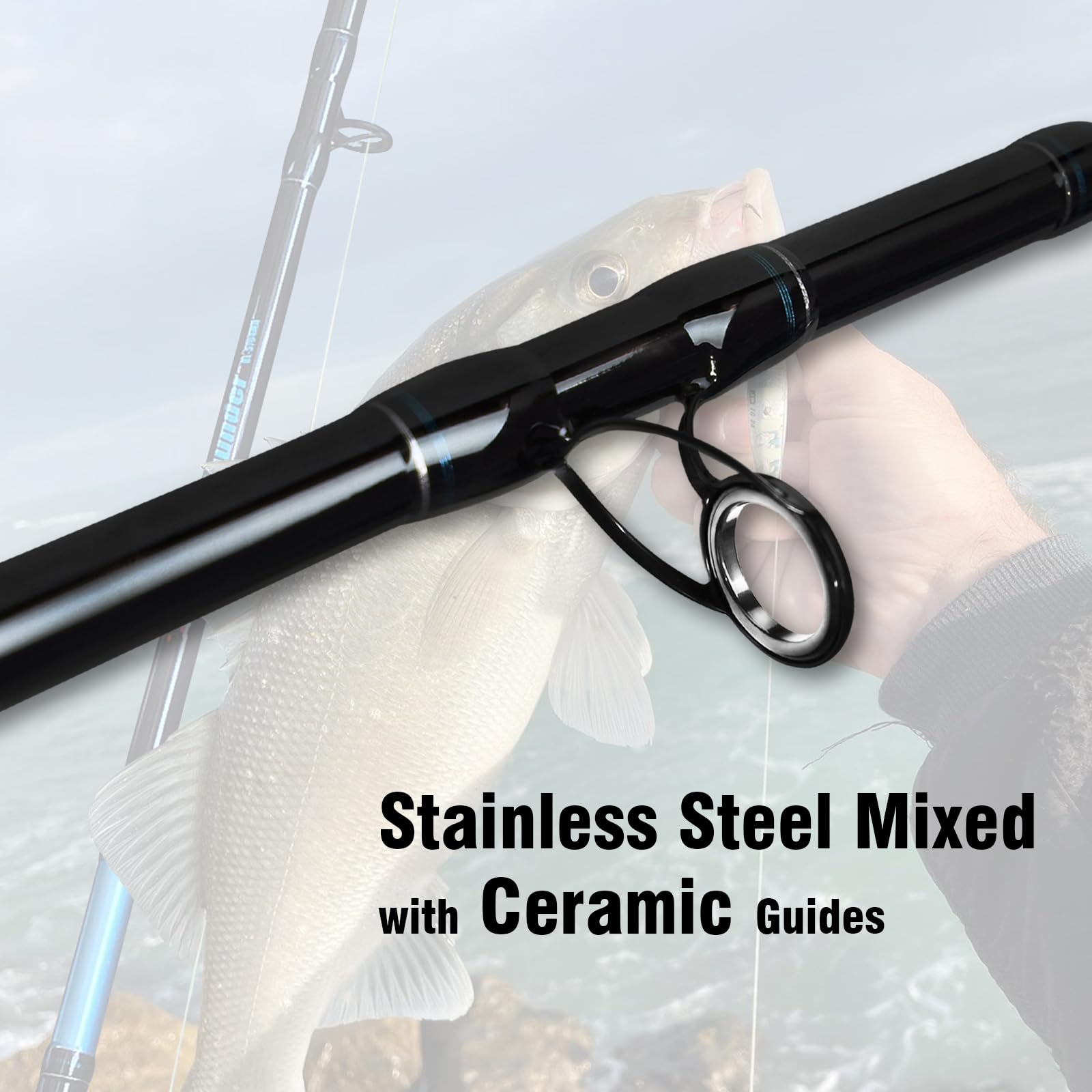 Portable 4-piece boat rod with travel case
