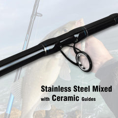 Portable 4-piece boat rod with travel case