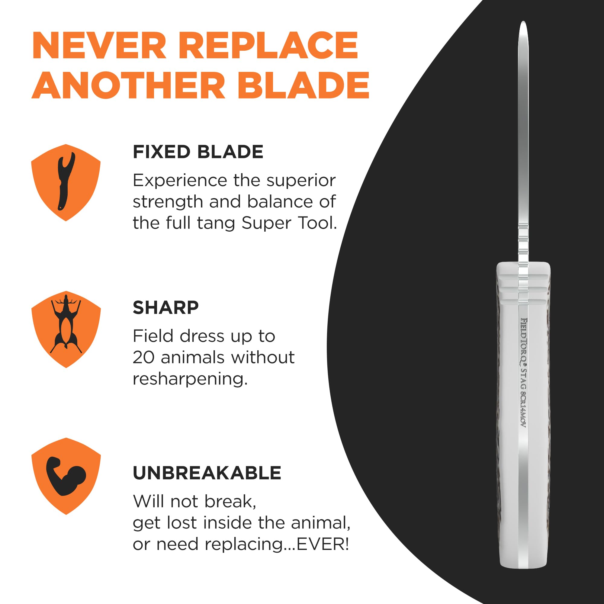 Bone-cutting action demonstrates FieldTorq's straight-edge efficiency with minimal bone chips.