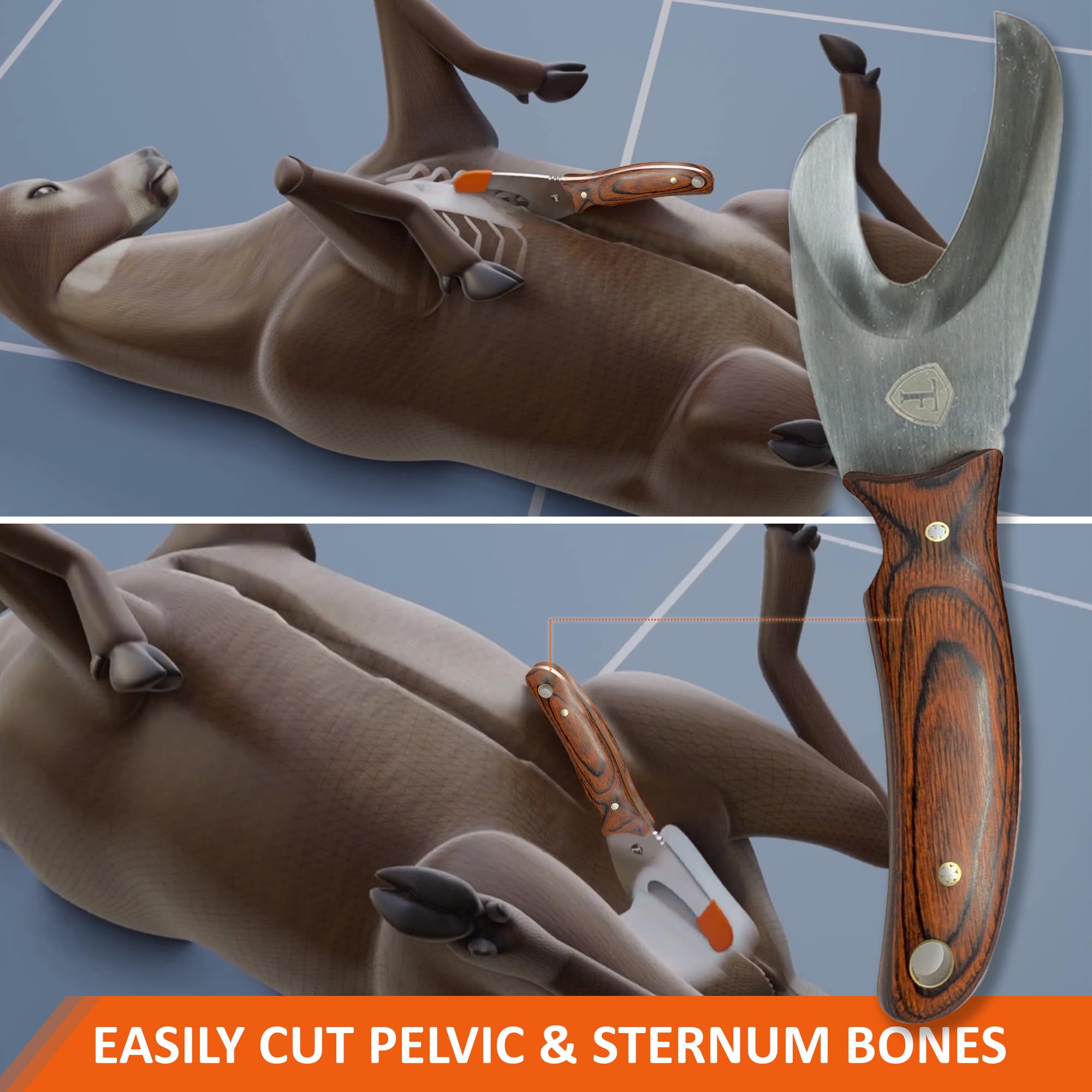Safety-focused, non-stabbing tip enhances deer skinning safety