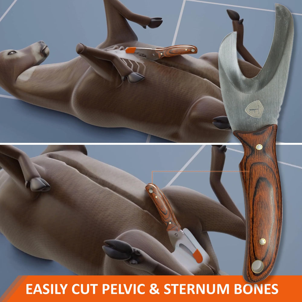 Safety-focused, non-stabbing tip enhances deer skinning safety