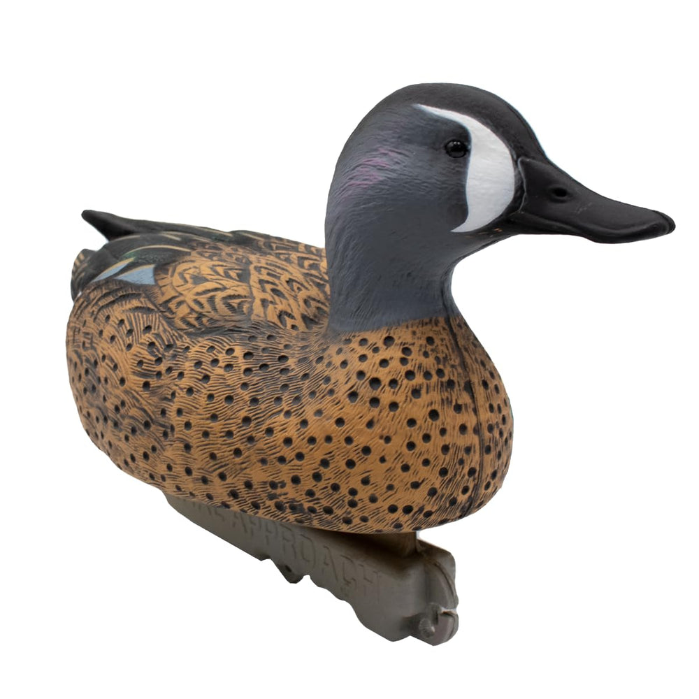 Final Approach blue-winged teal in water demonstrates a natural resting pose for captures.