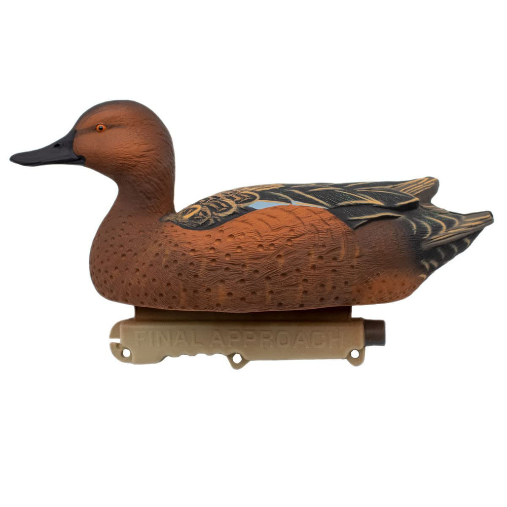 Final Approach HD Cinnamon Teal drake close-up head detail enhances realism on water.