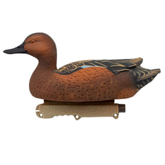 Final Approach HD Cinnamon Teal drake close-up head detail enhances realism on water.