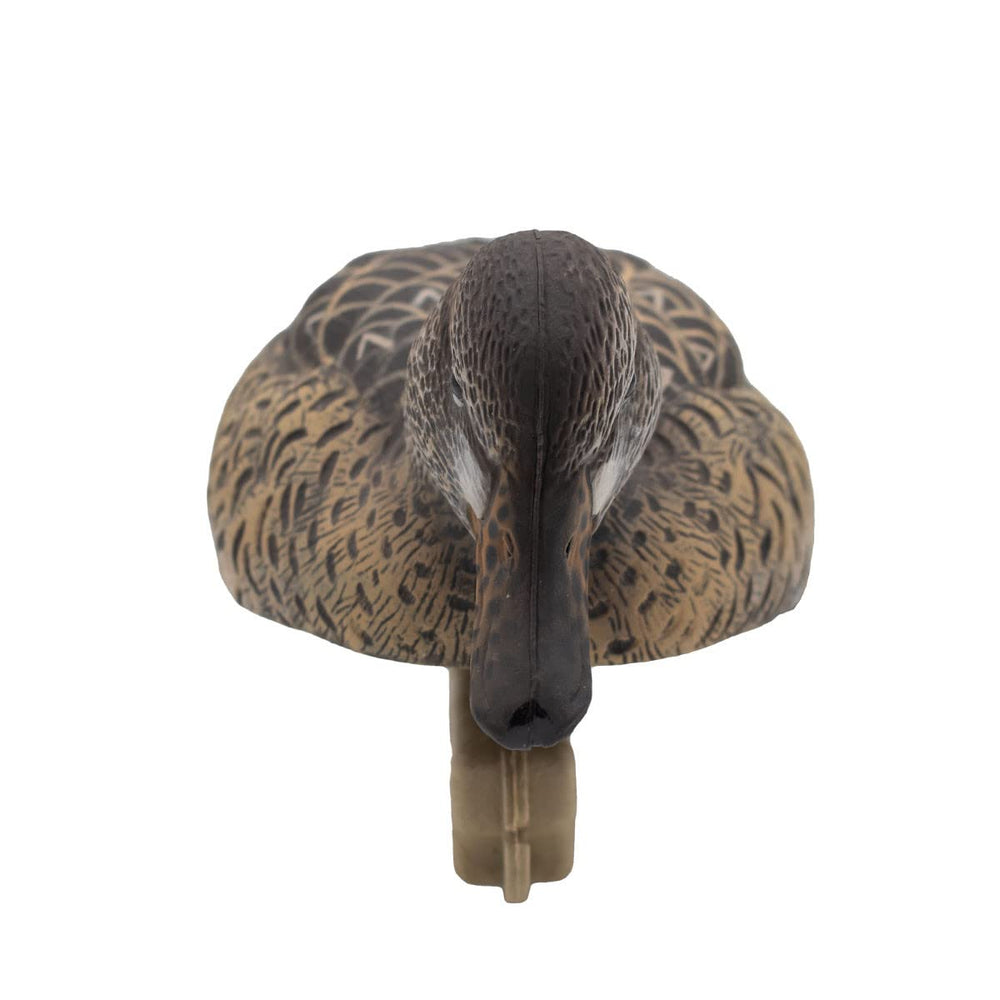 Final Approach HD Cinnamon Teal front view highlighting true-to-life color pattern.