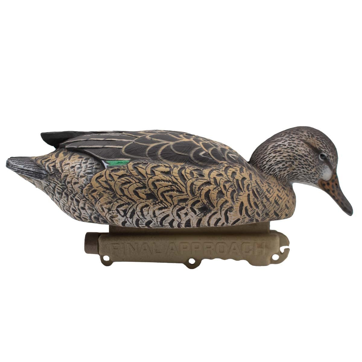 Final Approach HD Cinnamon Teal hens in spread demonstrate realistic movement.