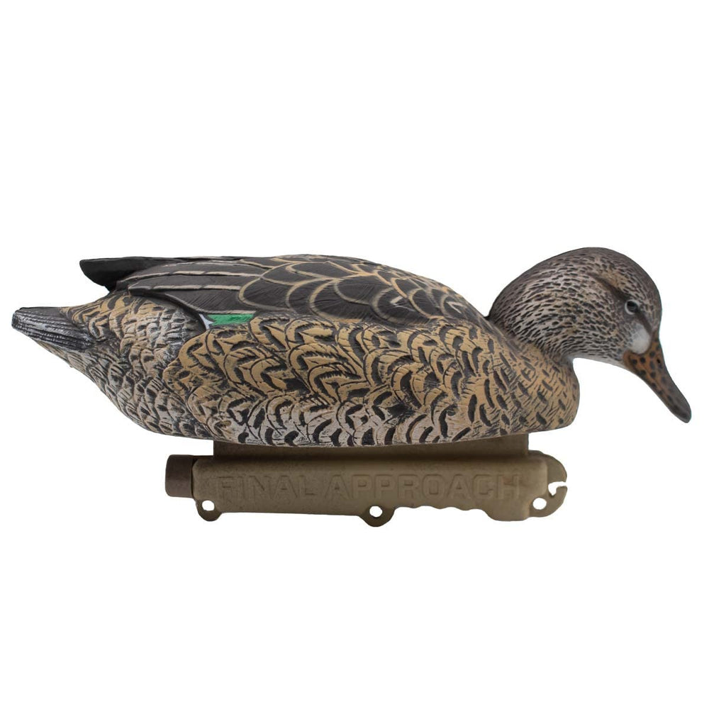 Final Approach HD Cinnamon Teal hens in spread demonstrate realistic movement.