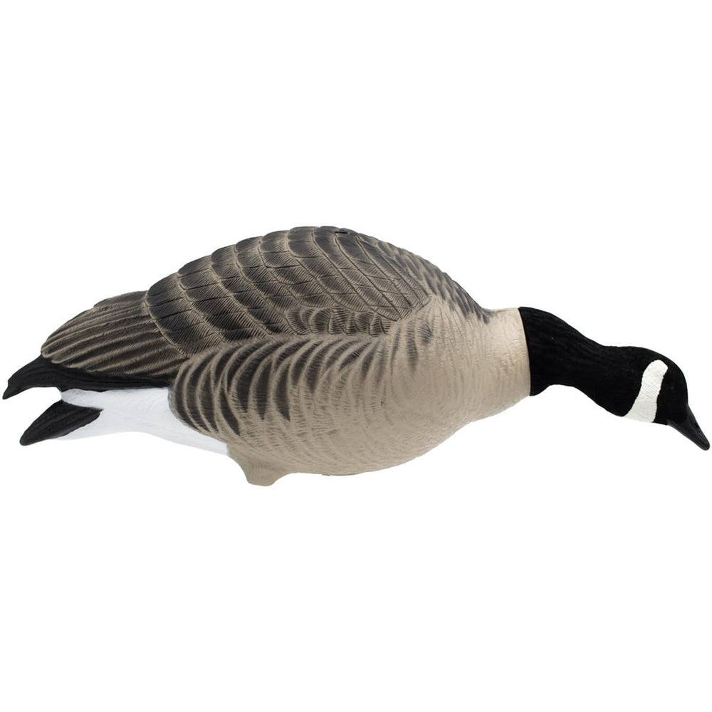 Final Approach HD full body Lesser goose decoys 12-pack ready for field spreads