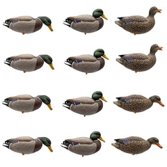 Final Approach HD full-body mallard decoys in field spread for lifelike presence