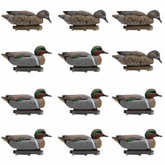 Final Approach HD Green-Winged Teal Drake full view for a lifelike waterfowl spread.