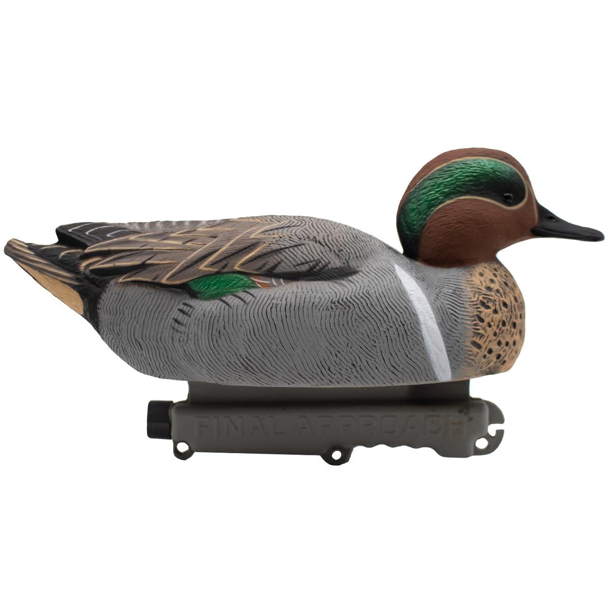 Final Approach HD Green-Winged Teal Drake profile highlighting natural stance.