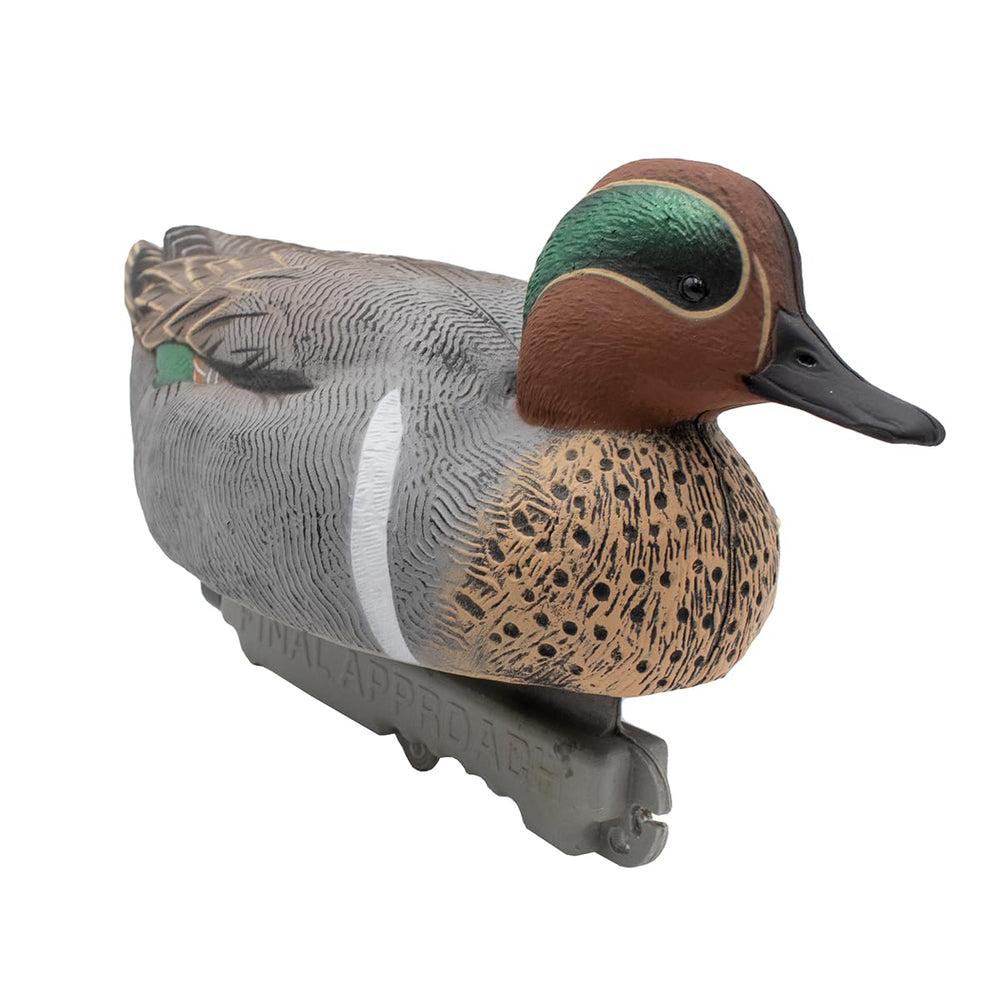 Final Approach HD Green-Winged Teal eyes and head detail enhancing authenticity.