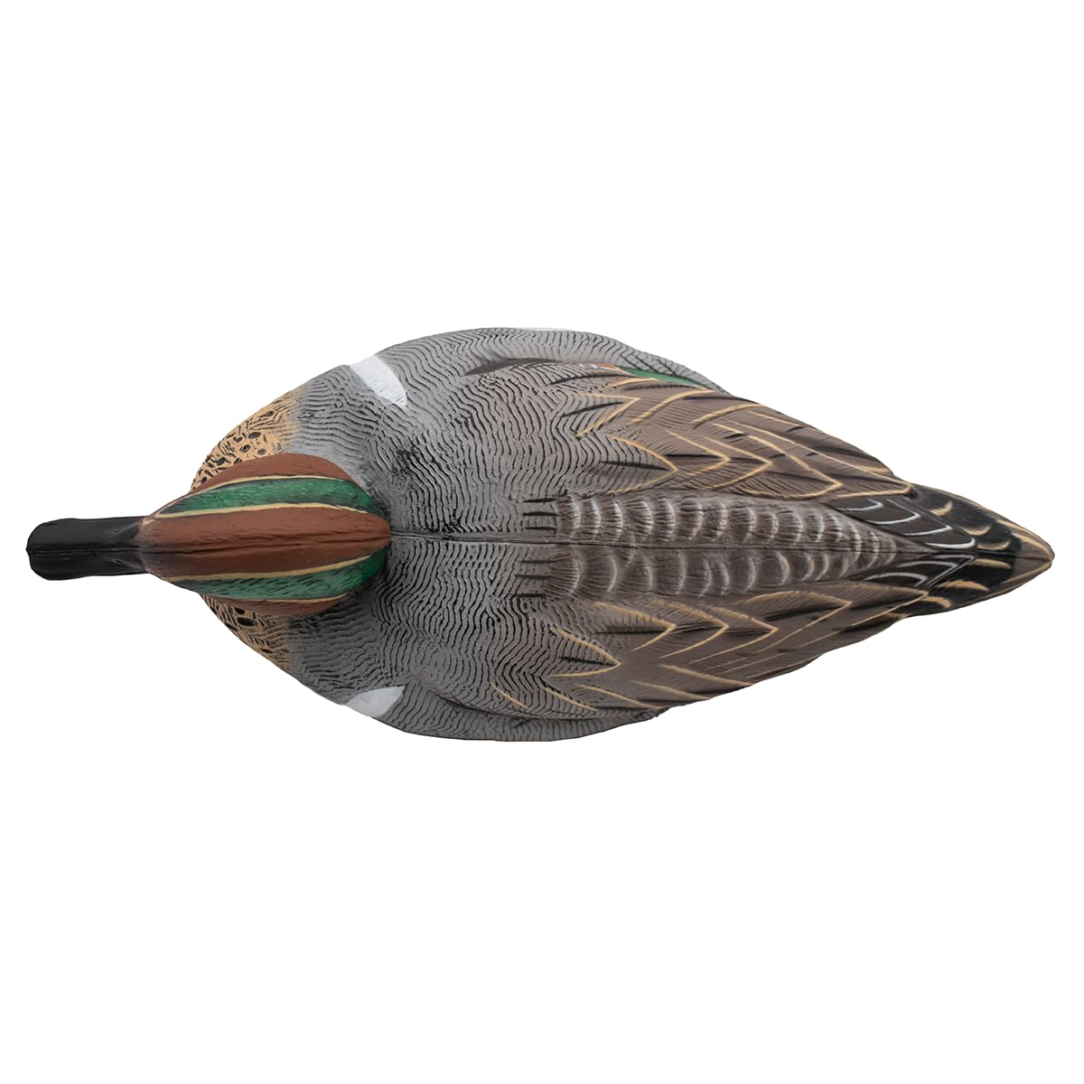 Final Approach HD Green-Winged Teal full spread in a calm water setting.