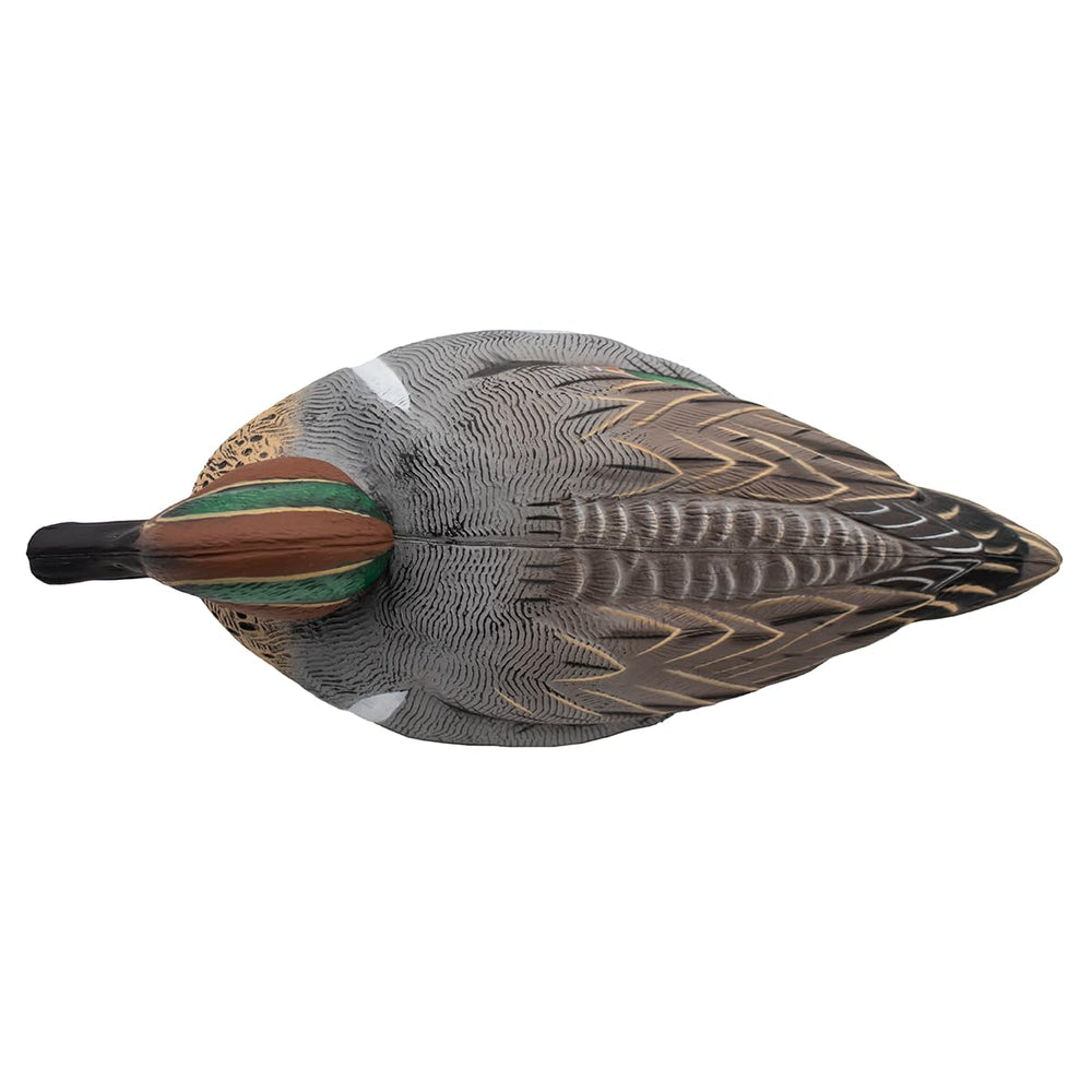 Final Approach HD Green-Winged Teal full spread in a calm water setting.