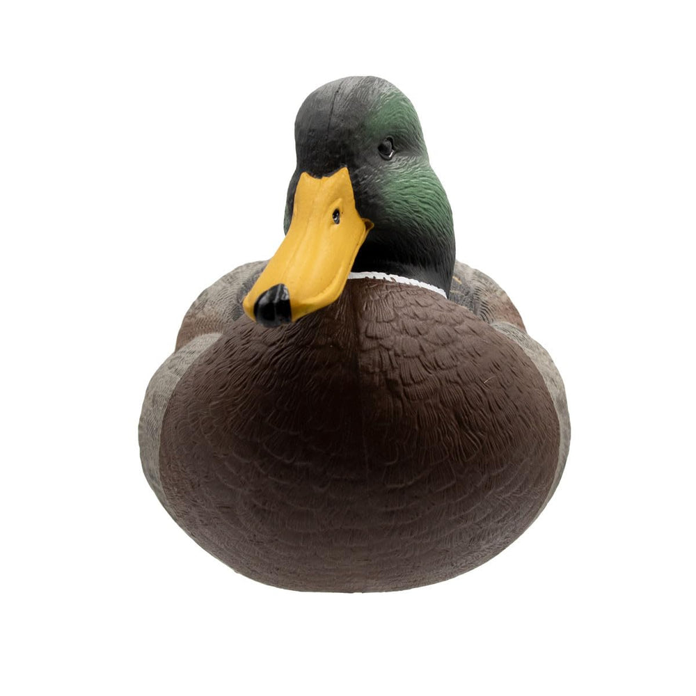 Final Approach HD hen feeders provide balanced positions along shorelines