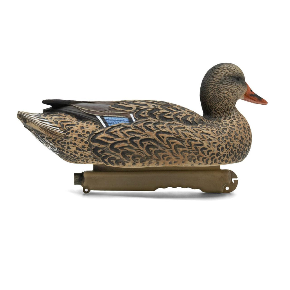 Final Approach HD Series hen feeders introduce feeding behavior to enhance realism