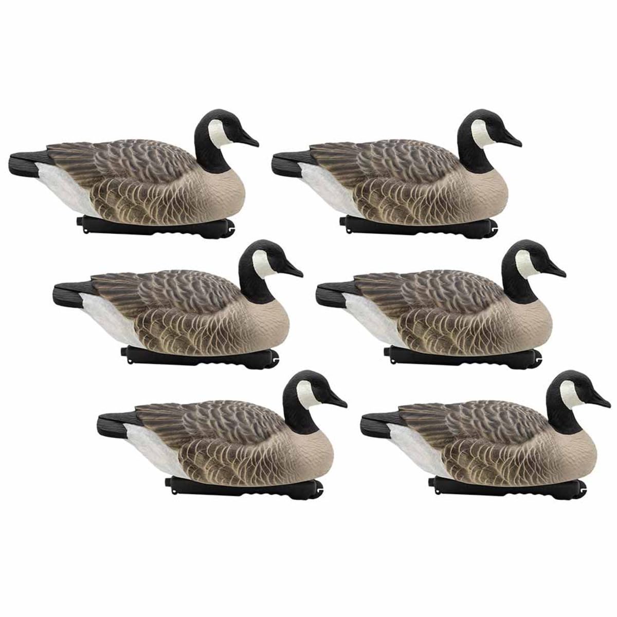 Final Approach Last Pass Canada Goose Floater 6-pack on water for realistic field setup.