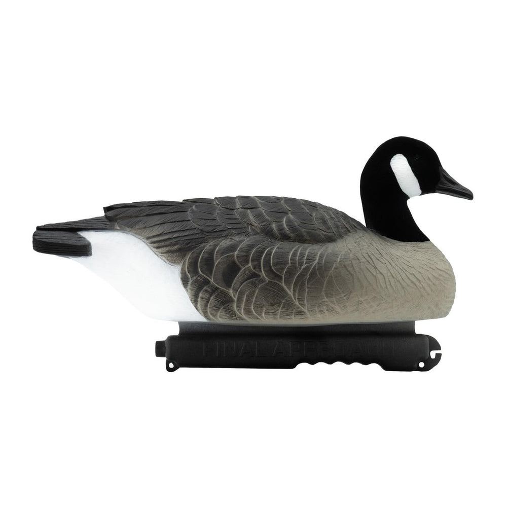 Final Approach Last Pass decoy with flocked head offers natural water color and texture.