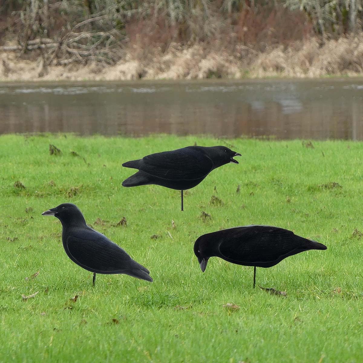 Final Approach Last Pass crow decoy Flocked-detail yields durable realism in any field.