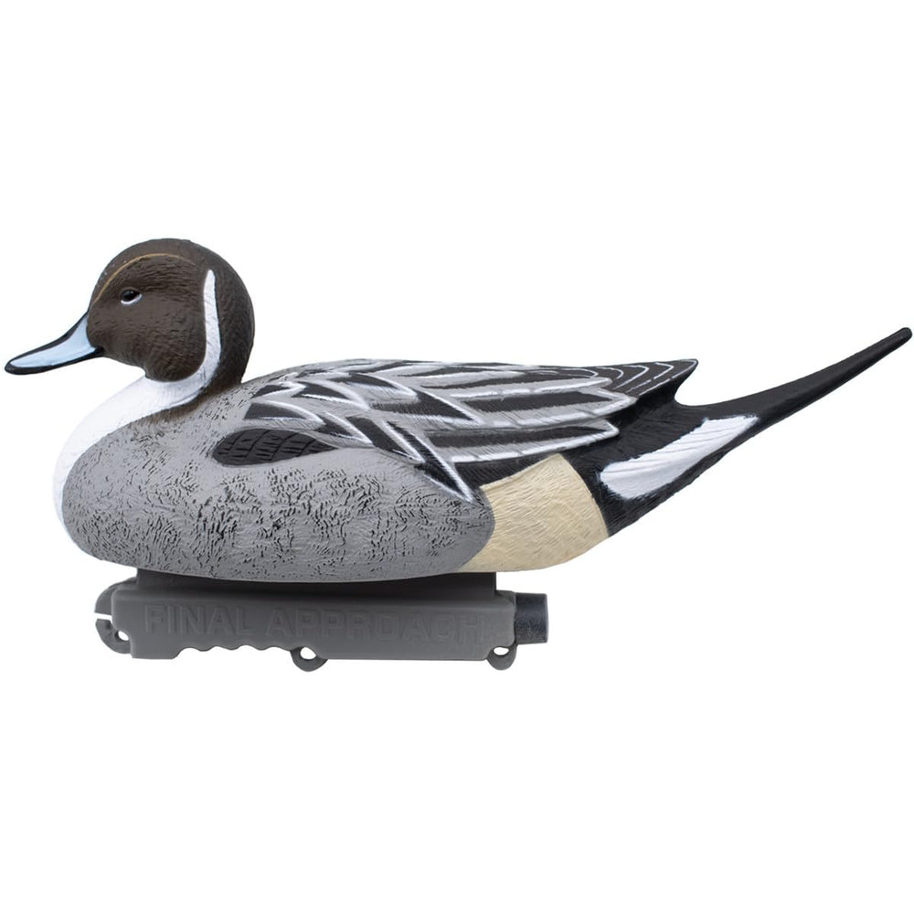 Final Approach Last Pass Floating Pintail 12-pack demonstrates scalable numbers for larger spreads