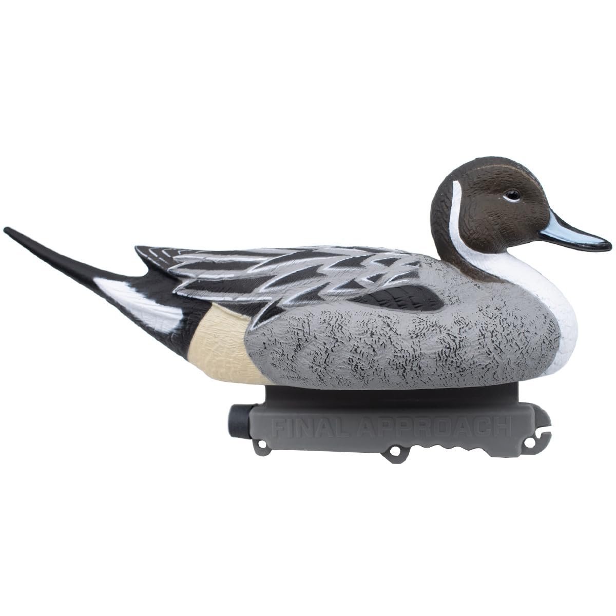 Final Approach Last Pass Floating Pintail decoy in water shows lifelike posture for convincing spreads