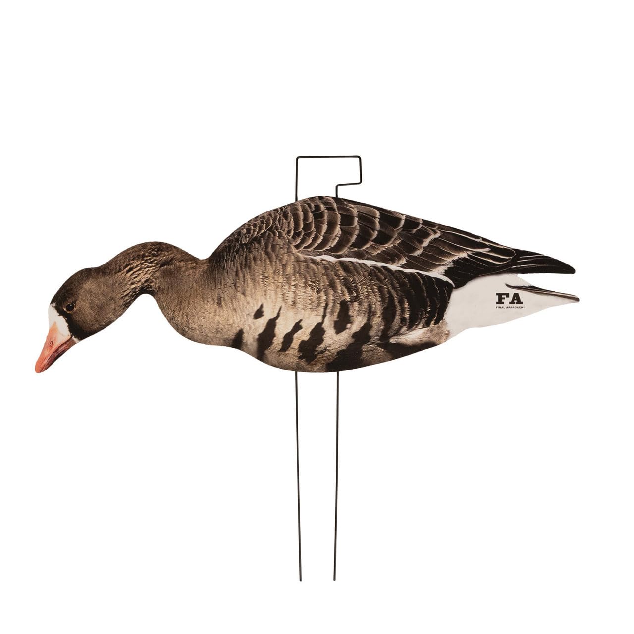 Final Approach Last Pass silhouette decoy in lifelike upright posture for quick setup