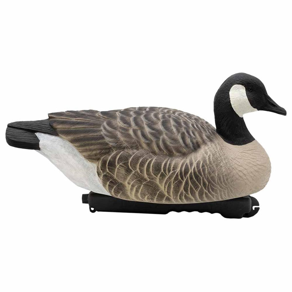 Final Approach Last Pass updated paint scheme highlights natural goose coloration.