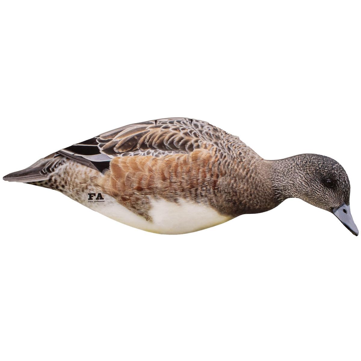 Final Approach Last Pass Wigeon drake feeder decoy; durable coroplast for field use.
