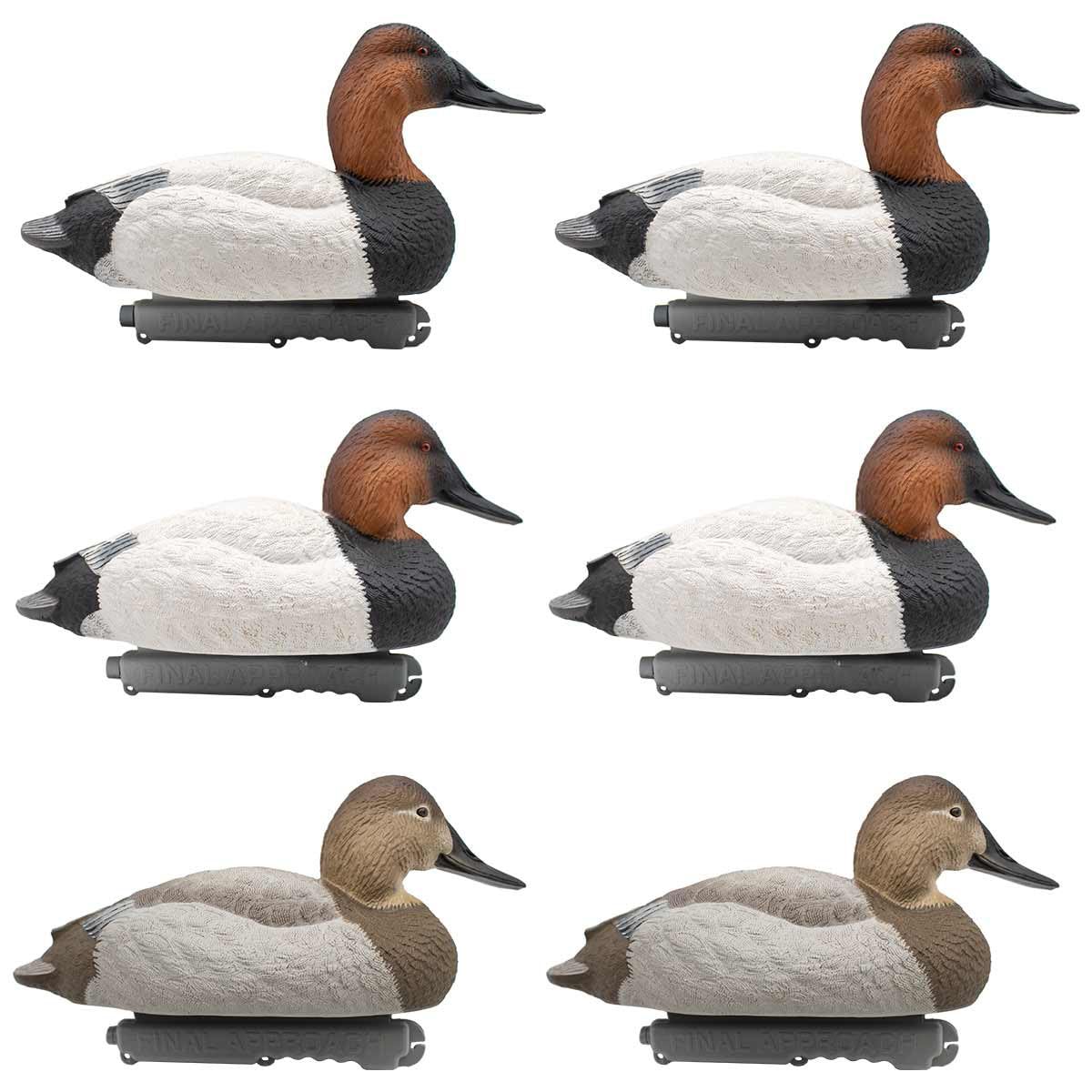 Final Approach live canvasback active drake decoy in dynamic pose for lifelike lure