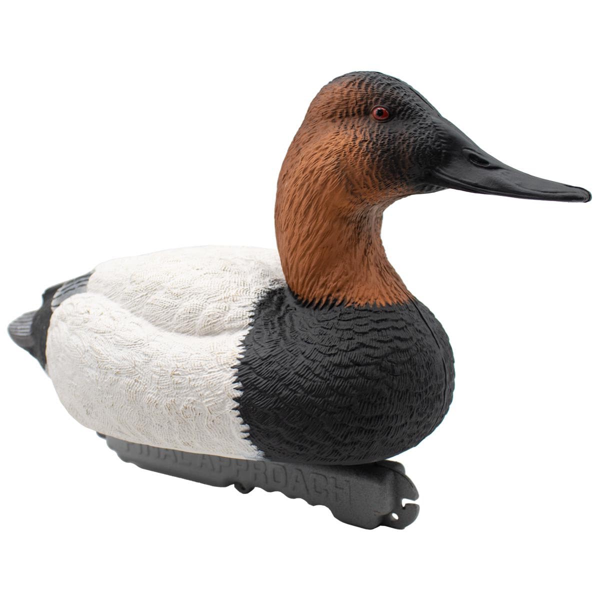 Final Approach live canvasback drake resting decoy showing relaxed posture