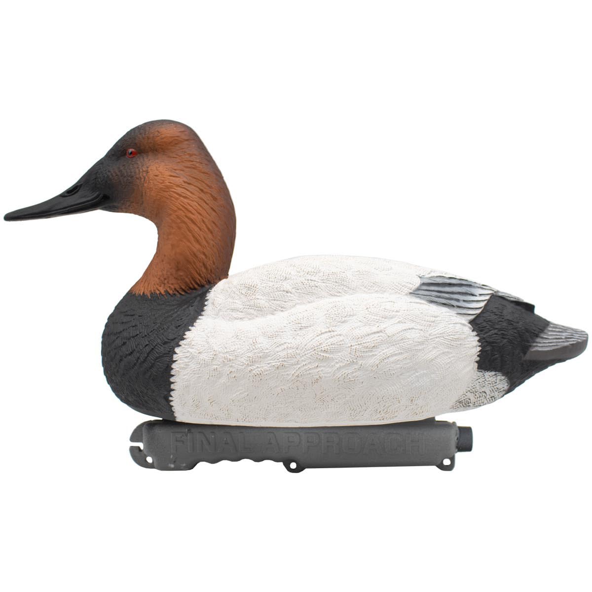 Final Approach canvasback hen decoy with subtle feather detail