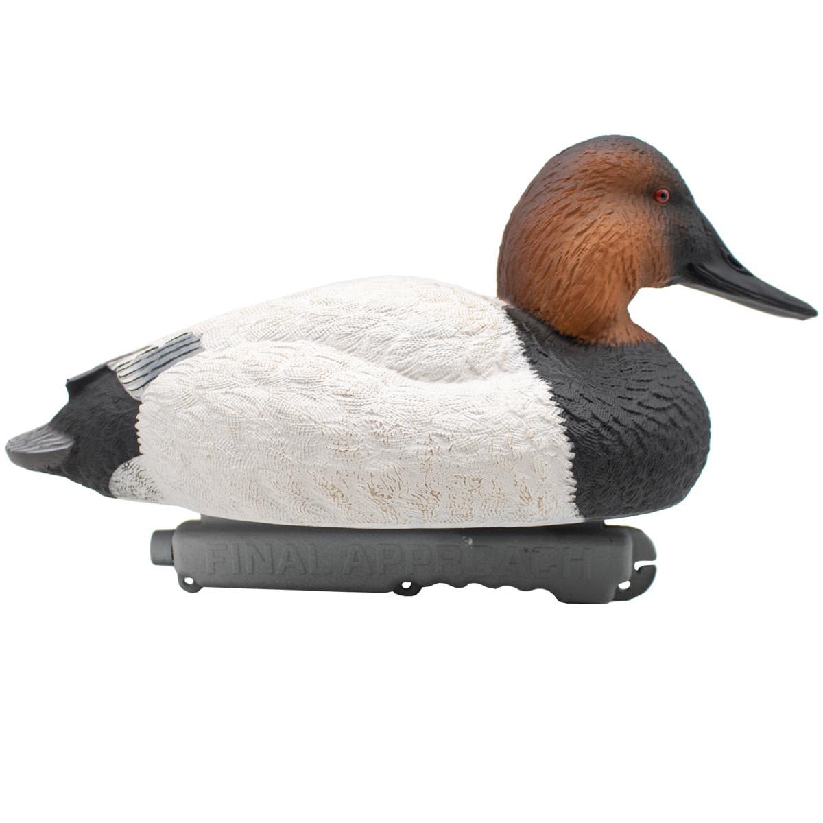 Final Approach paint-detail canvasback close-up highlighting lifelike plumage