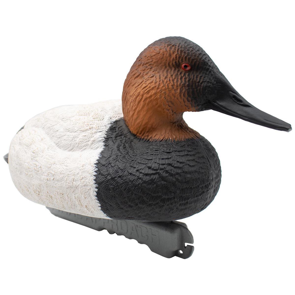 Final Approach spread layout with canvasbacks for hunting setup