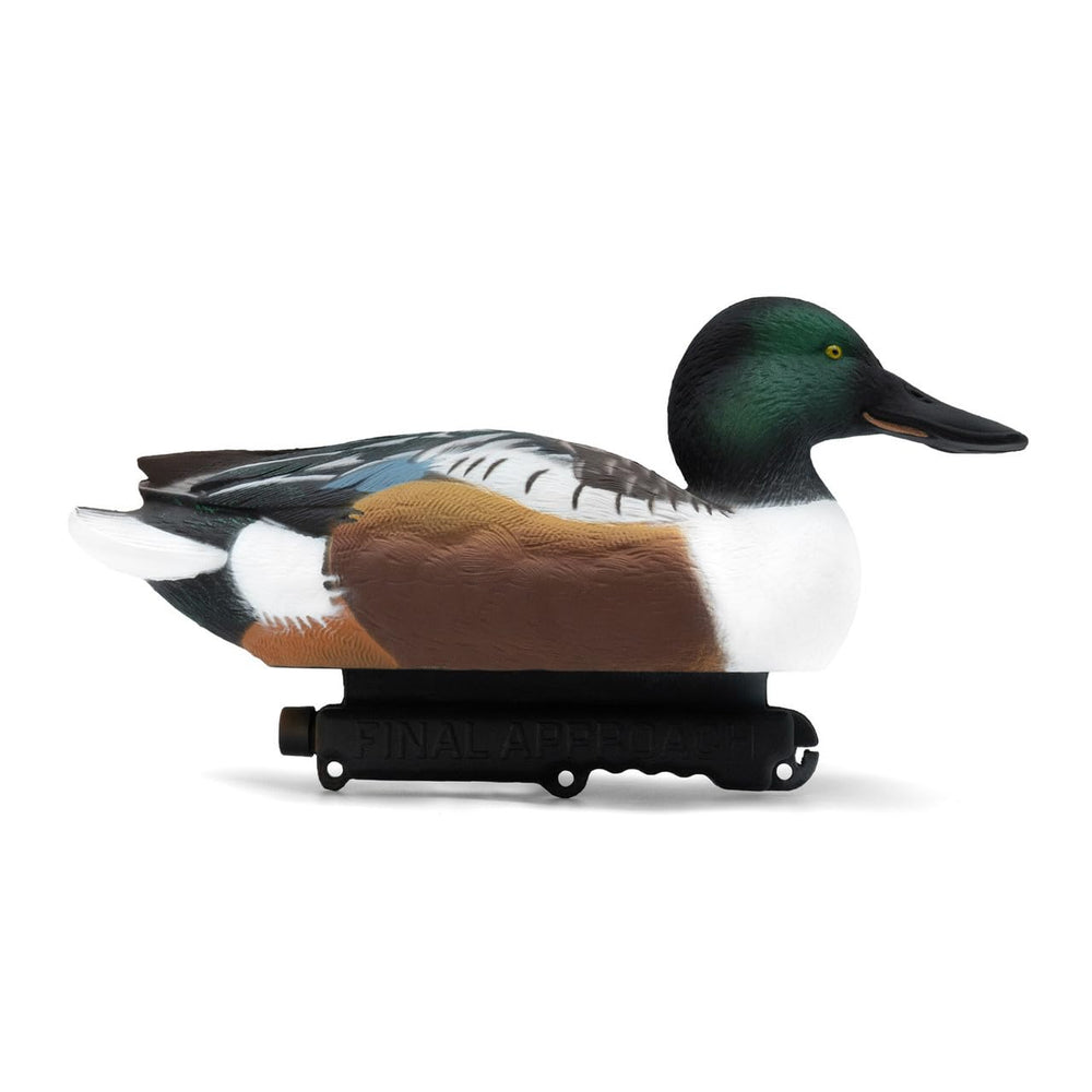 Final Approach Live Floating Northern Shovelers green drake profile with lifelike feather detail.