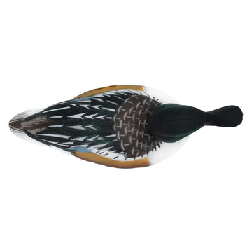 Final Approach Live Floating Northern Shovelers green pack front view on calm water.